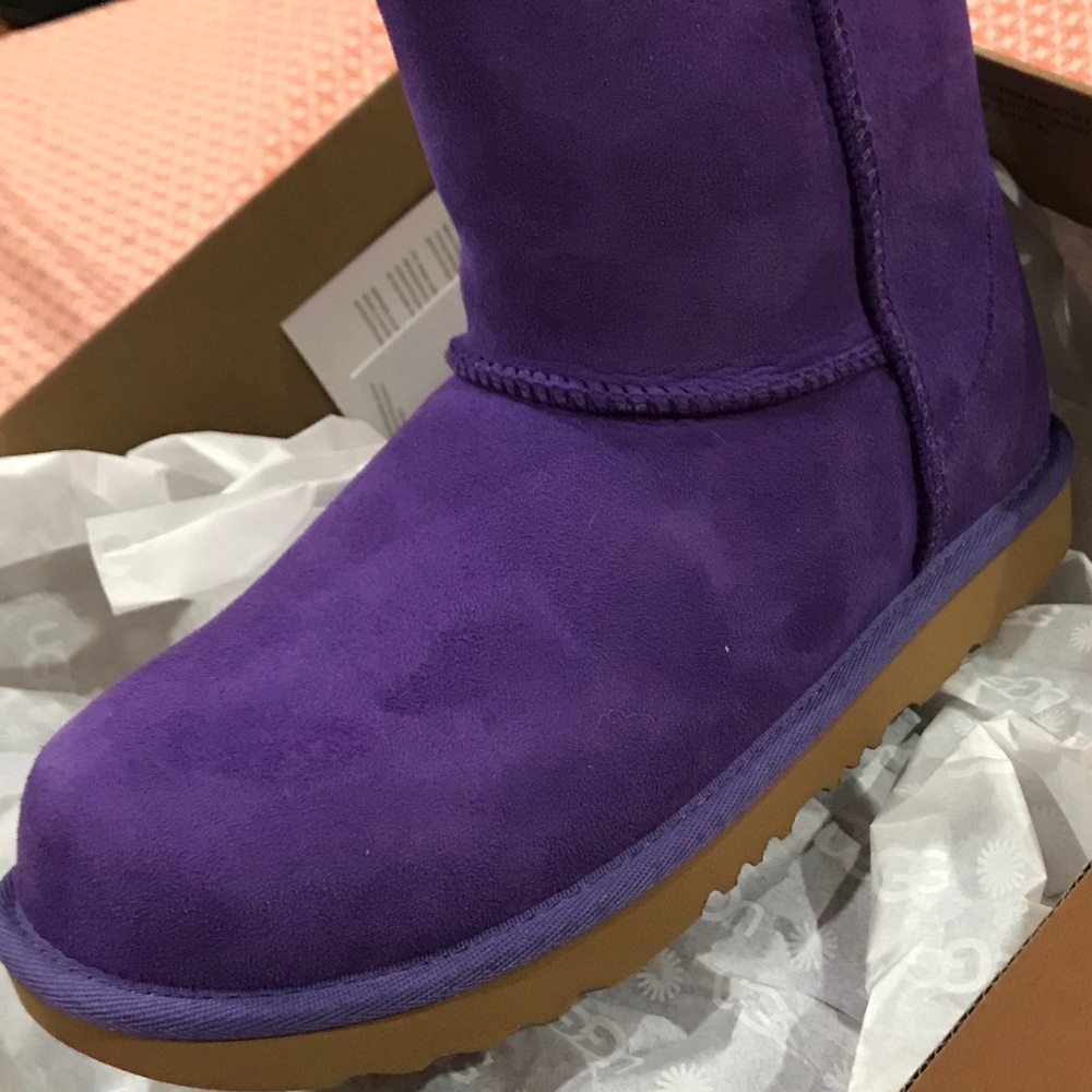 Brand new uggs sz 7